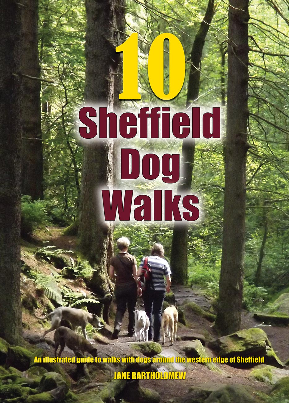 Sheffield Dog Walks